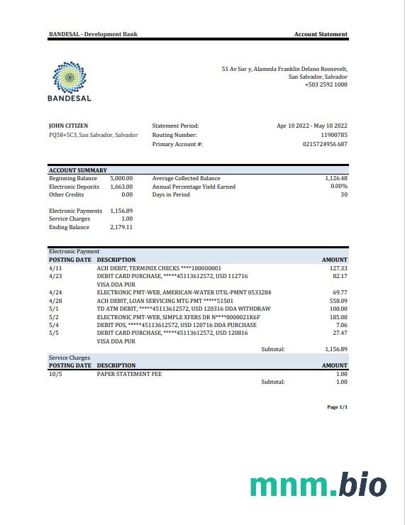 Szablon wyciągu bankowego Salvador Bandesal w formacie Word i PDF